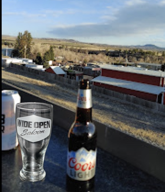 Pilsner Beer Glass Sand Blasted. Colorado Custom Decor.