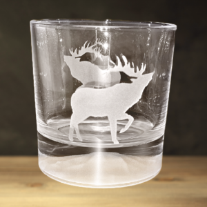 Elk Mountain Rocks Glasses